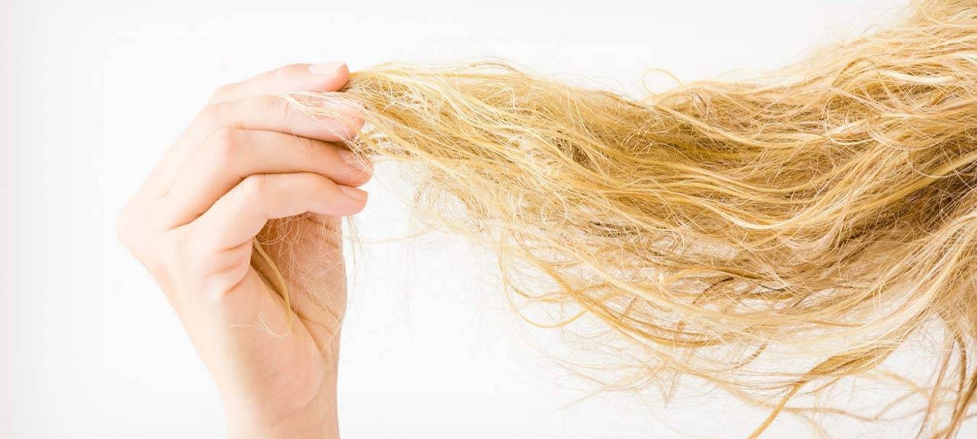 LOP BMAG Article How To Take Care Of Brittle Hair D