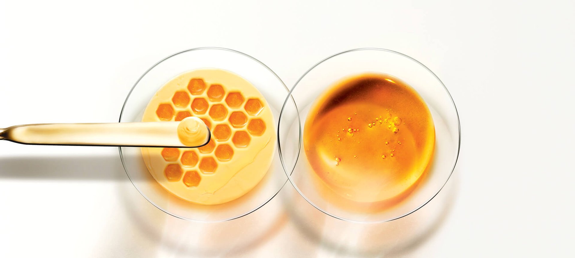 BANNERY_MANUKA_2_loreal_paris