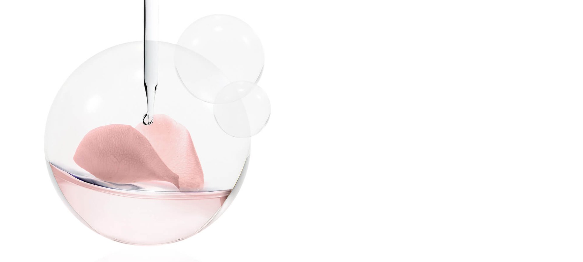 BANNERY_PIWONIA_20_loreal_paris