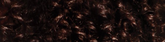 Q1_Coily 580x150_01_04