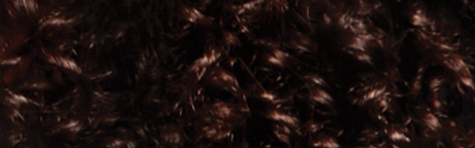Q1_Coily 580x150_01_04