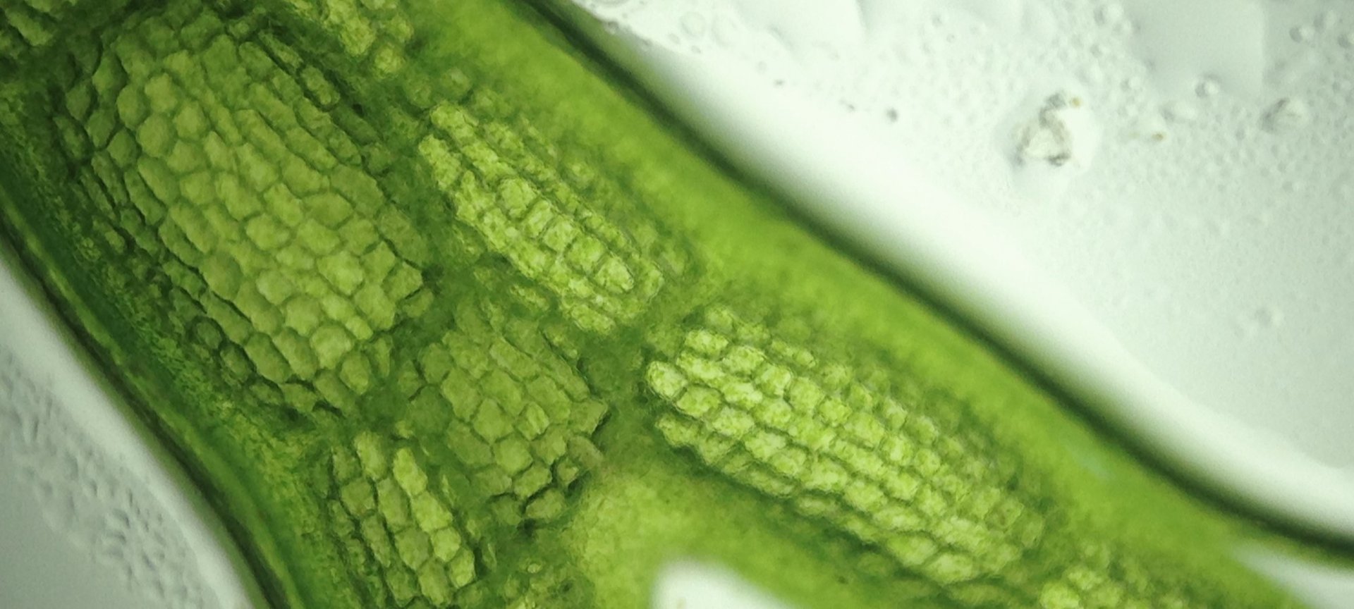 DIX SEPT PARIS LOREAL SKIN Beautiful Skin Still Life 70